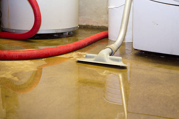 Best Water damage restoration near me  in Worland, WY